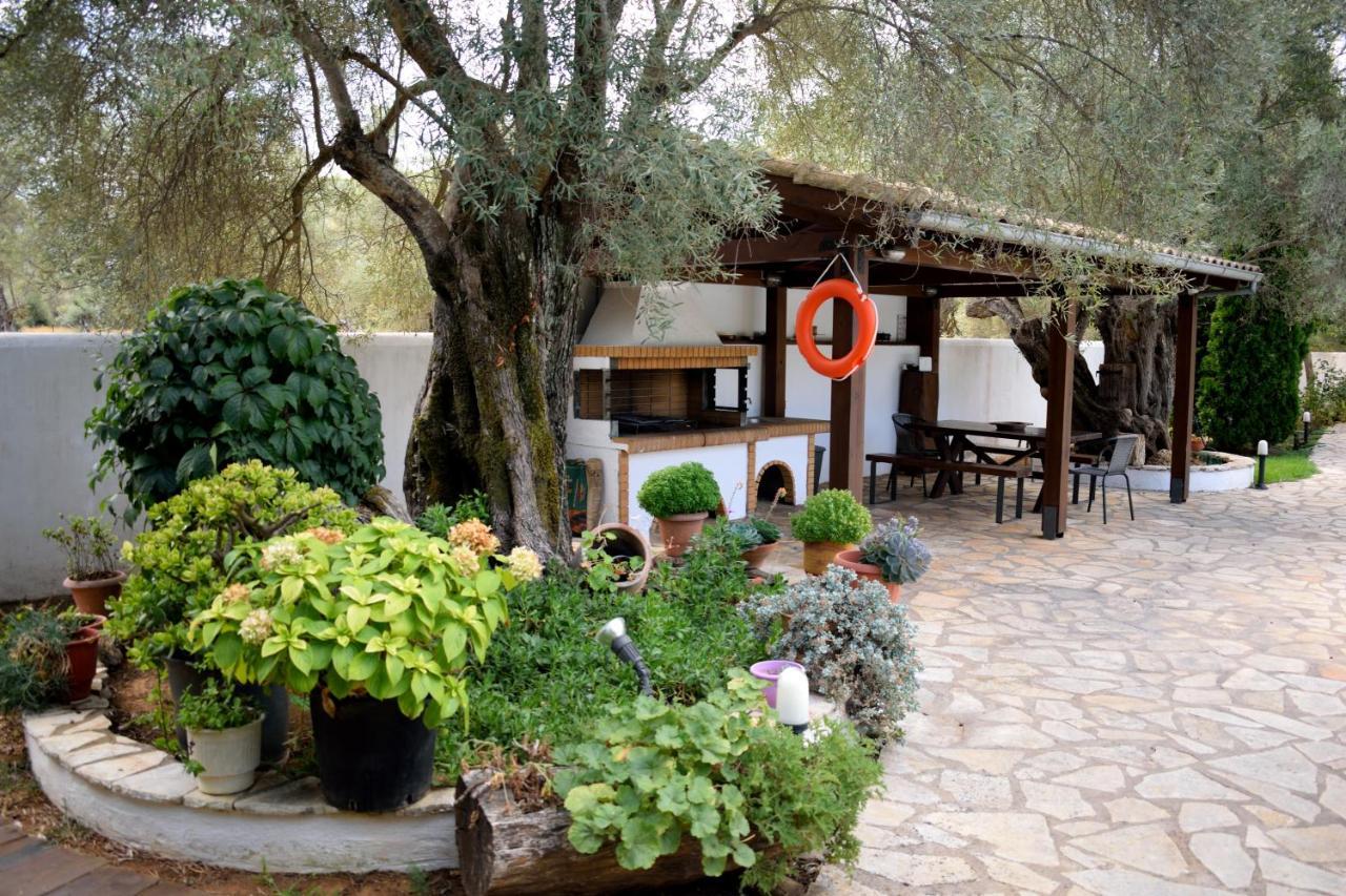 Villa Dioni Lefkada City ภายนอก รูปภาพ